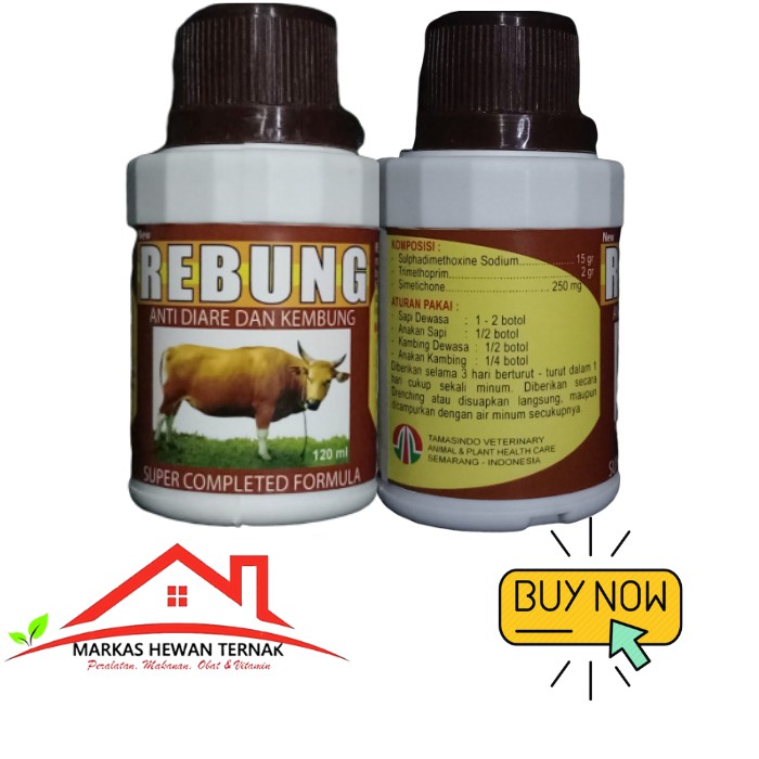 Rebung Obat Diare Mencret Kembung Sapi Kerbau Kambing 120ml Shopee Indonesia
