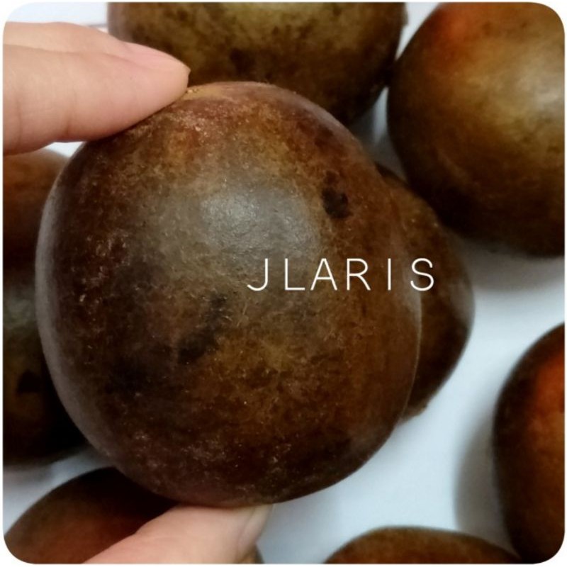 buah lohankuo / lo han kuo buah / buah lo hanguo segar