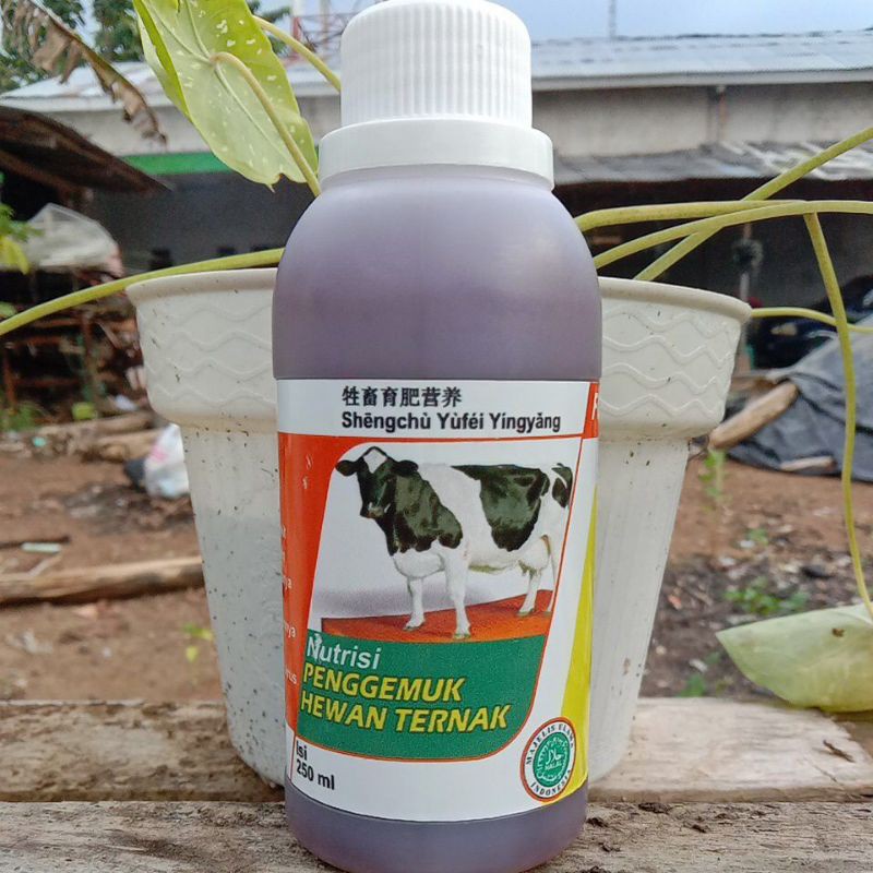 

penggemukhewanternak