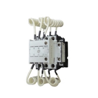 Contactor Capasitor Shihlin SC-P20⠀