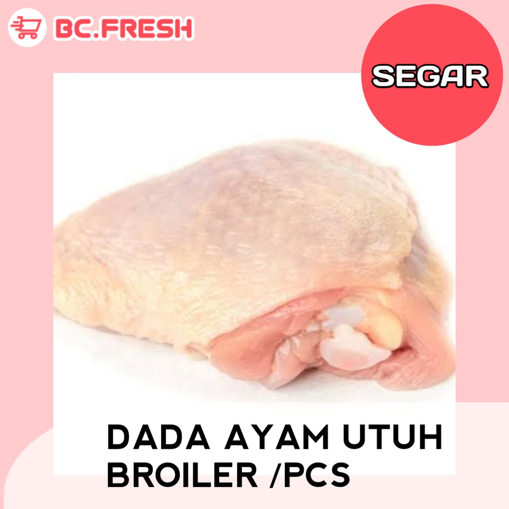

Ayam broiler dada segar
