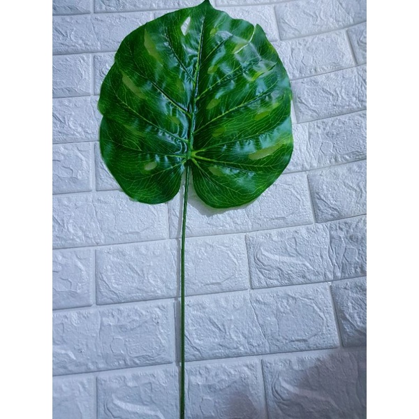 daun mostera latex artificial - daun ekor naga - daun kura kura latex - daun palsu - daun dekorasi