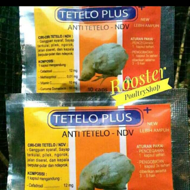 Obat Ayam Kena Tetelo TETELO PLUS