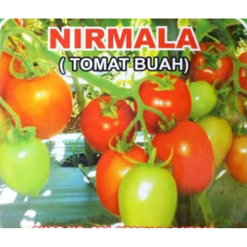 Benih biji TOMAT BUAH NIRMALA 25 biji / bibit sayuran