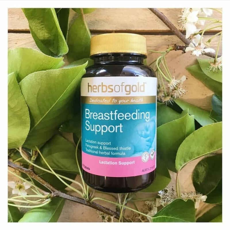 Jual Herbs Of Gold Breastfeeding Support Pelancar Asi Booster Asi Shopee Indonesia