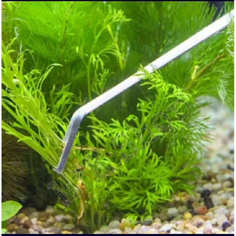 Pinset aquascape 25 cm stainless steel