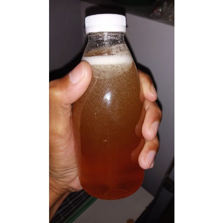 

Madu Murni Asli Nektar Bunga Ternak