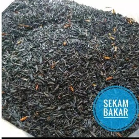 SEKAM BAKAR, ARANG SEKAM, MEDIA TANAM SEKAM BAKAR