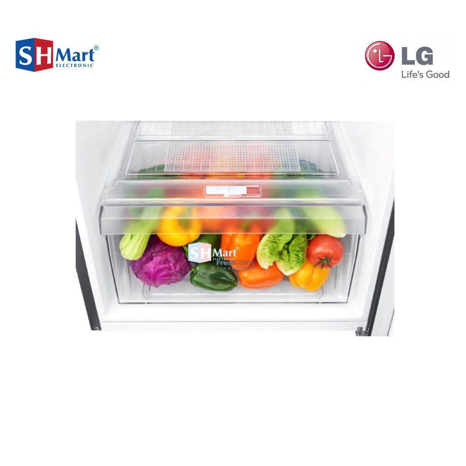 KULKAS 2 PINTU LG 272 LITER SMART INVERTER GNG272SLCB / GN-G272SLCB HEMAT LISTRIK GARANSI RESMI (MEDAN)