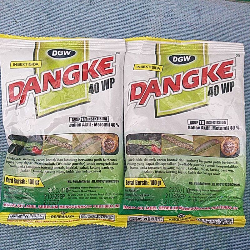 DANGKE 100 GRAM