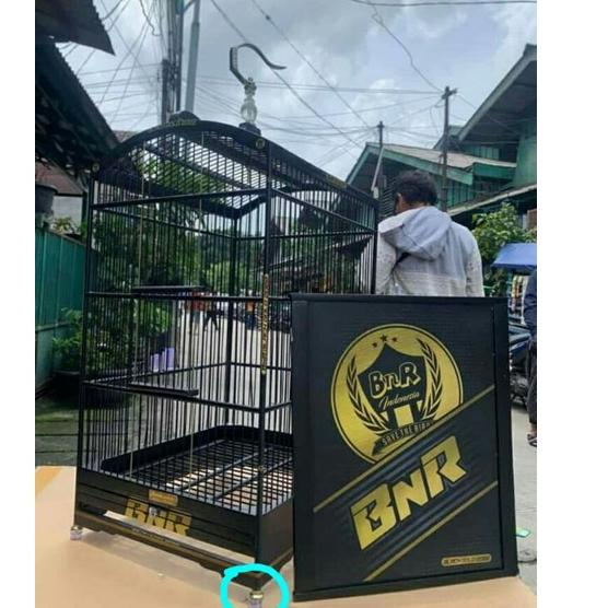 Bnt31au22e ▪ kaki karet sangkar  bening bantalan gold Rep BNR