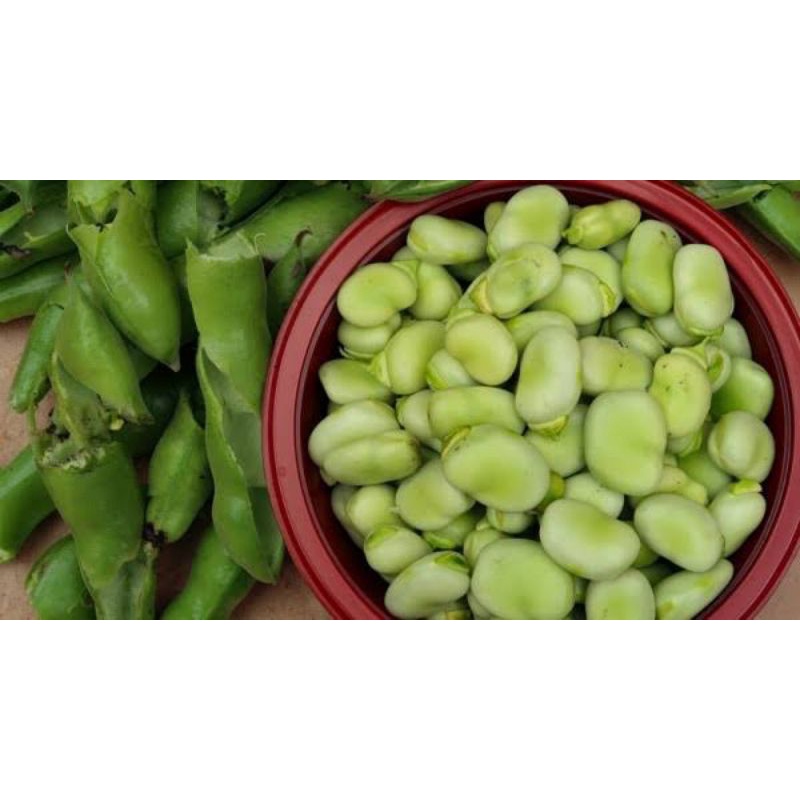 

BSM | TERMURAH Kacang Koro Kupas Segar / Kacang Koro Segar 250gr - 1kg | Sayur online
