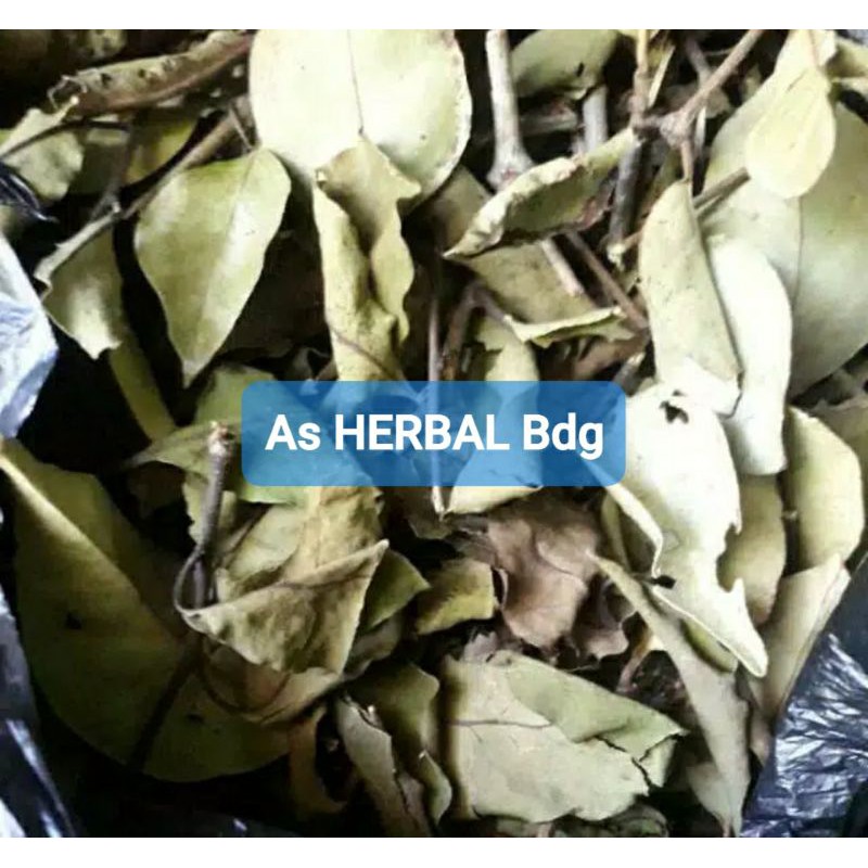 

Hemat 250 gram benalu mindi benalu pohon mindi kering-az