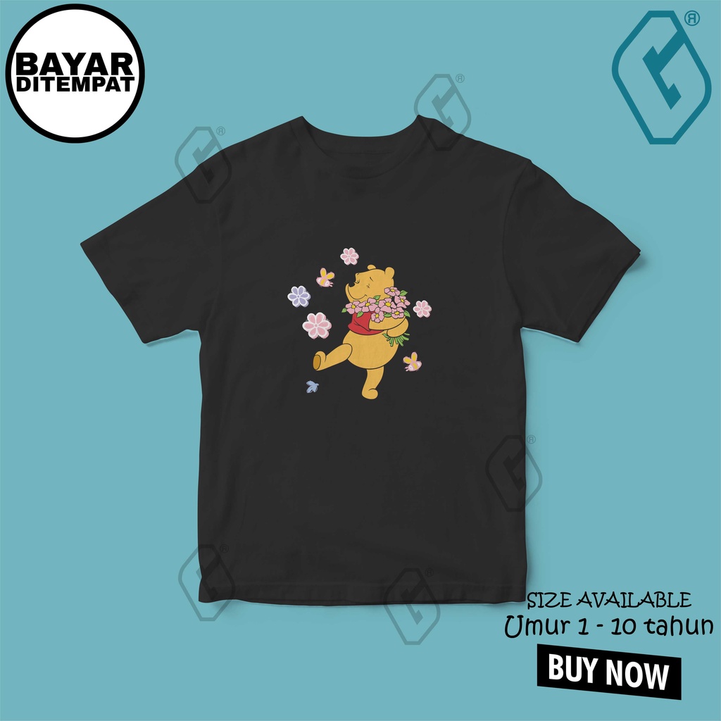 kaos anak winnie the pooh / baju anak pooh