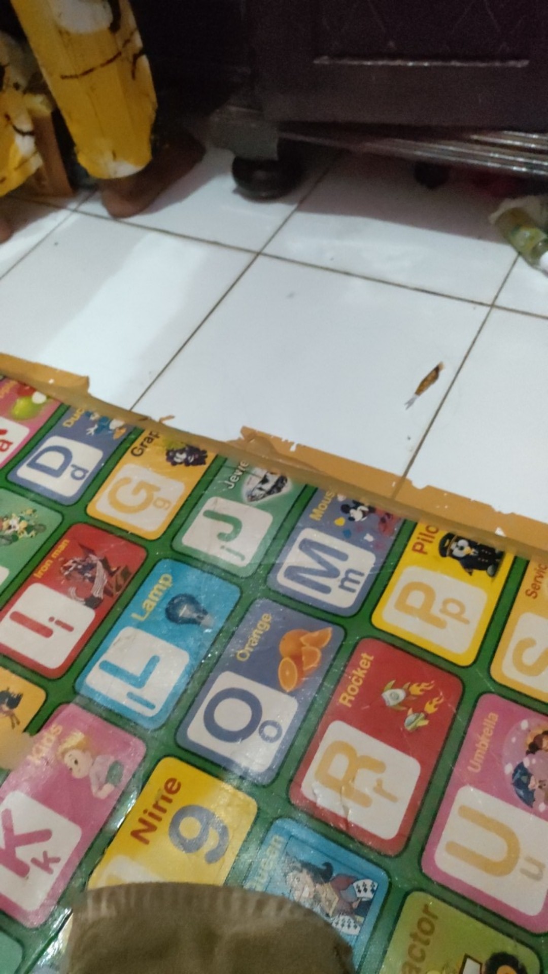 Stella Pocket Orange Original Murah