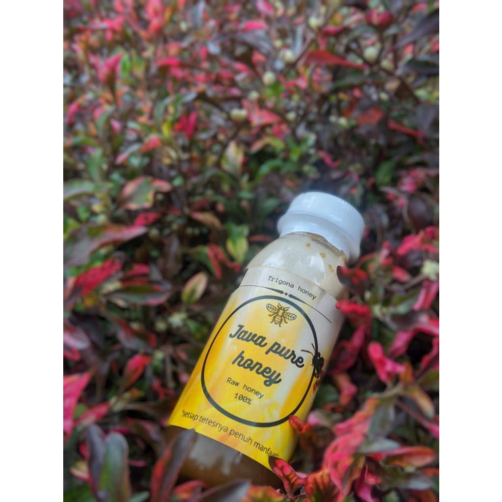 

Madu hitam / madu klanceng /madu murni / madu asli tanpa campuran