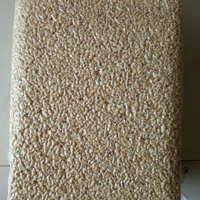 

KACANG MEDE MENIR BERKUALITAS Kode 919