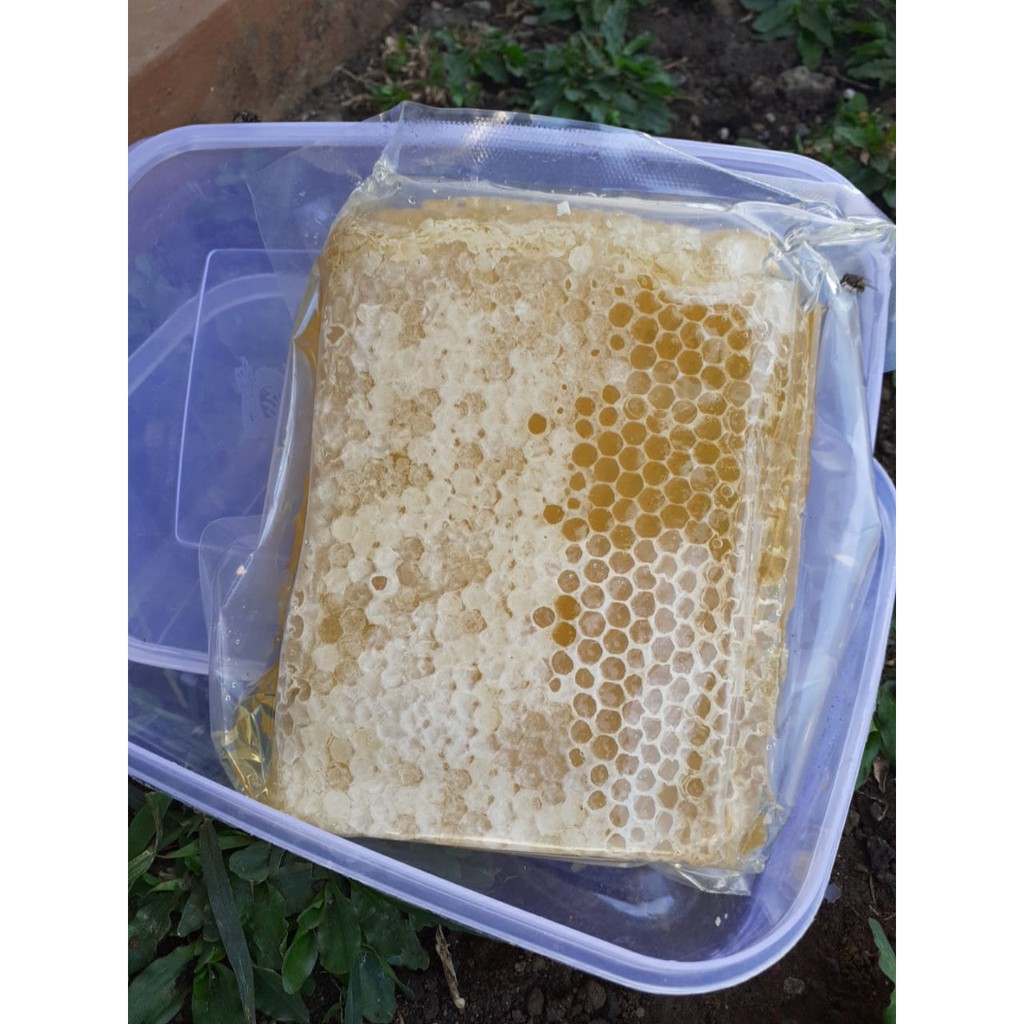 

Madu Sarang Melifera Premium Murni 100% Original