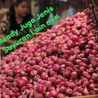 

Cuci Gudang Awal Tahun BAWANG MERAH BESAR - 1KG Big Sale