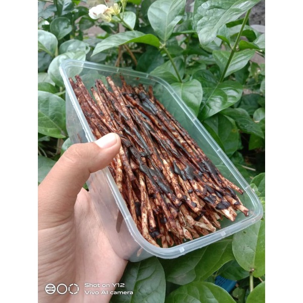 

mielidibumbubasahcoklat