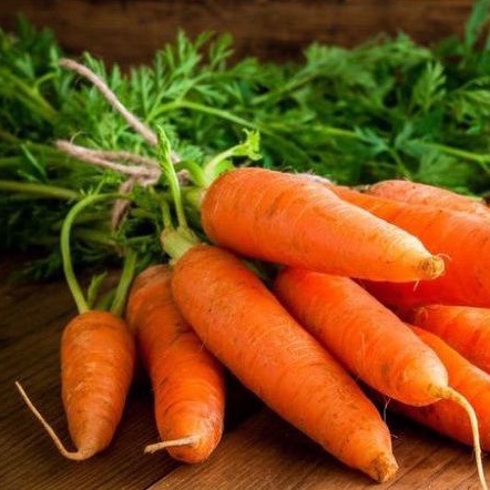

Wortel brastagi segar/Sayur wortel lokal fresh