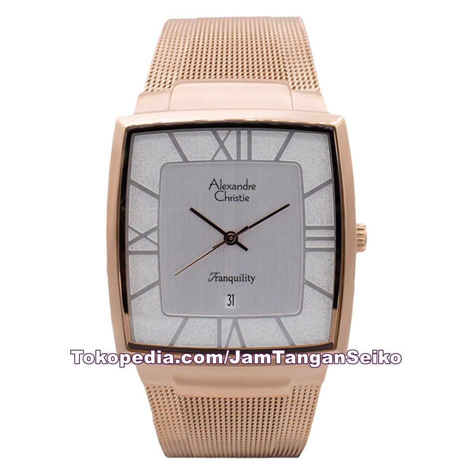 Jam Tangan Pria Alexandre Christie AC 8329 MD BRGSL Original Stainless