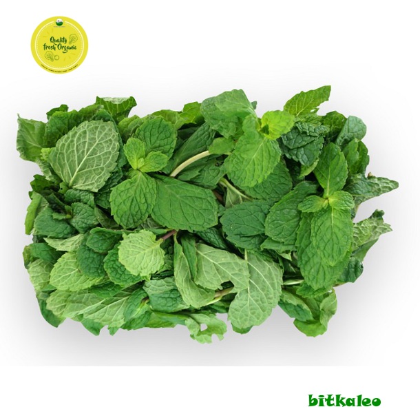 

Daun Mint/ Peppermint 200 gr (PO)