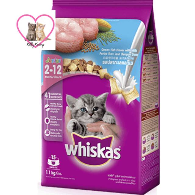 Whiskas Dry Junior 1.1kg Makanan Kucing