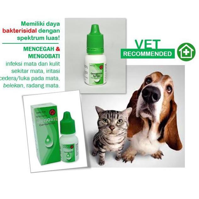 [asci] Obat tetes mata anjing dan kucing, GENOINT Gentamicin | Gentamisin ✩✩