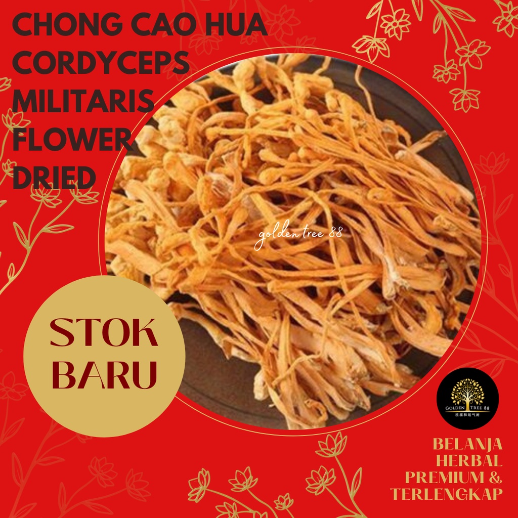 

25 gram Premium Cong Cao Cordyceps Premium Cordyceps Flower Fresh Original