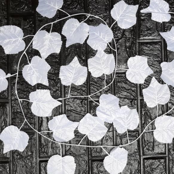 Trend Product Daun Anggur Putih Imitasi 8cm 200 Shopee Indonesia