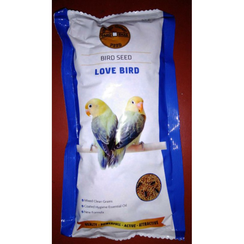 gold coin lovebird