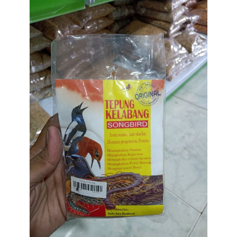 

TEPUNG KELABANG SONGBIRD