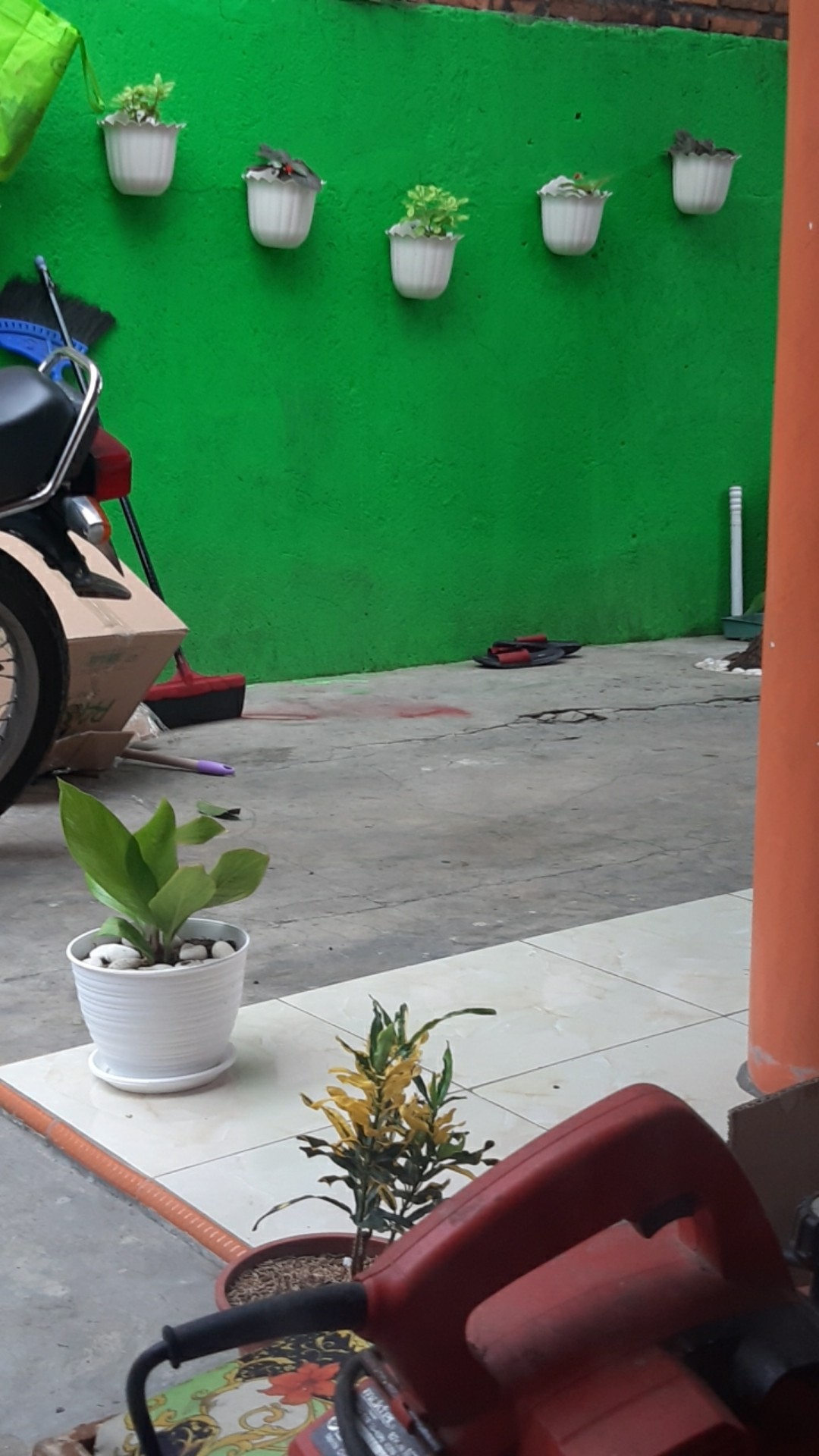 Pot Bunga Tembok Putih 19cm - Putih