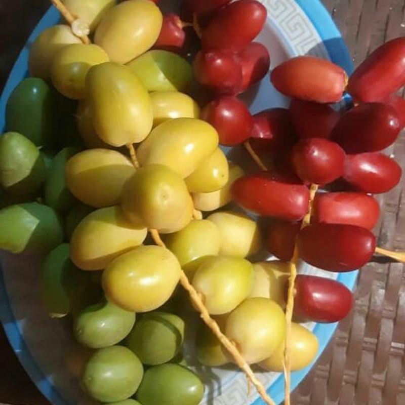 

FLASH SALE KURMA MUDA 250 gr