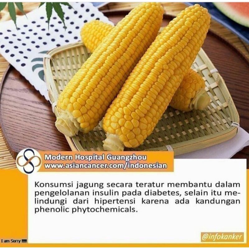 

nasi jagung instan"SAHABAT