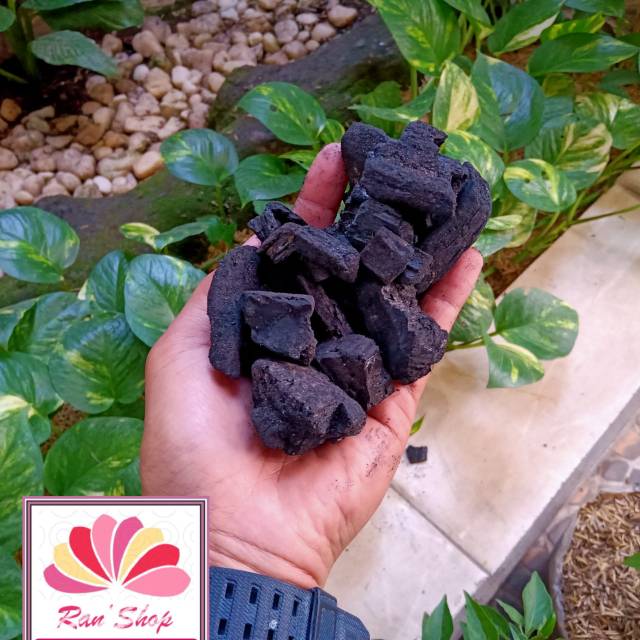 Media Tanam Arang Kayu Bakar Untuk Anggrek Shopee Indonesia