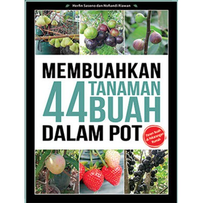Membuahkan 44 Tanaman Buah dalam Pot