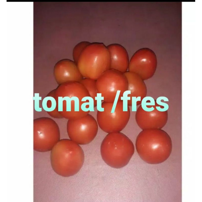 

TOMAT/500GRM