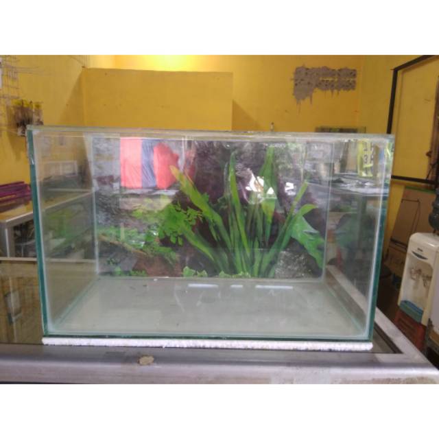 gojek aquarium 30x15x20