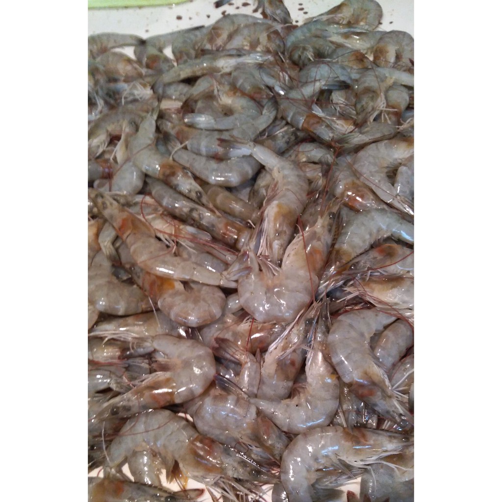 Udang Segar Bandung