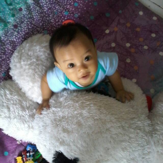 faridahdwisetyowati