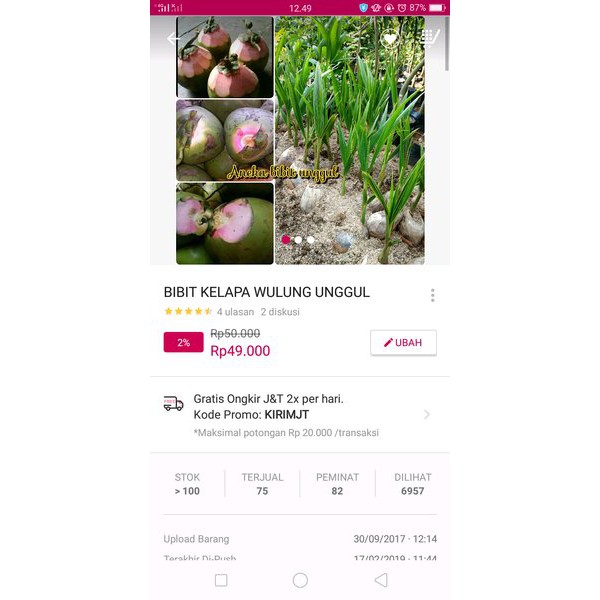 bibit kelapa wulung super bibit kelapa wulung bisa untuk obat Aneka bibit unggul