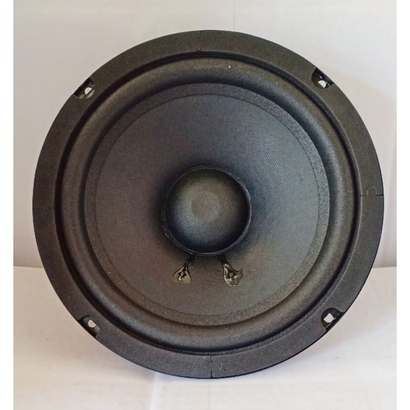 SPEAKER SUBWOFER BM SERI 10 INCH ( MODEL BMB)