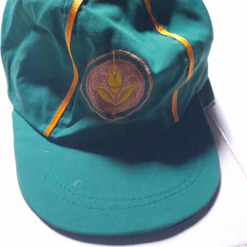 topi hw logo bordir