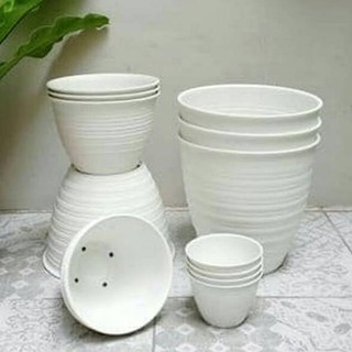 Tren Bulan Ini Pot Bunga Tawon Putih ukuran 12cm Pot Bunga Tren Bulan Ini Pot Bunga Tawon Putih ukuran 12cm Pot Bunga