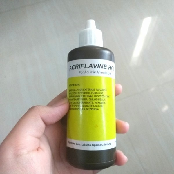 Acriflavine HCL Blitz Icht 100 ml Obat Kuning Jamur Ikan Hias Cupang