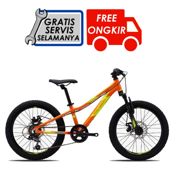Sepeda MTB | Sepeda Polygon Relic 20 - Orange
