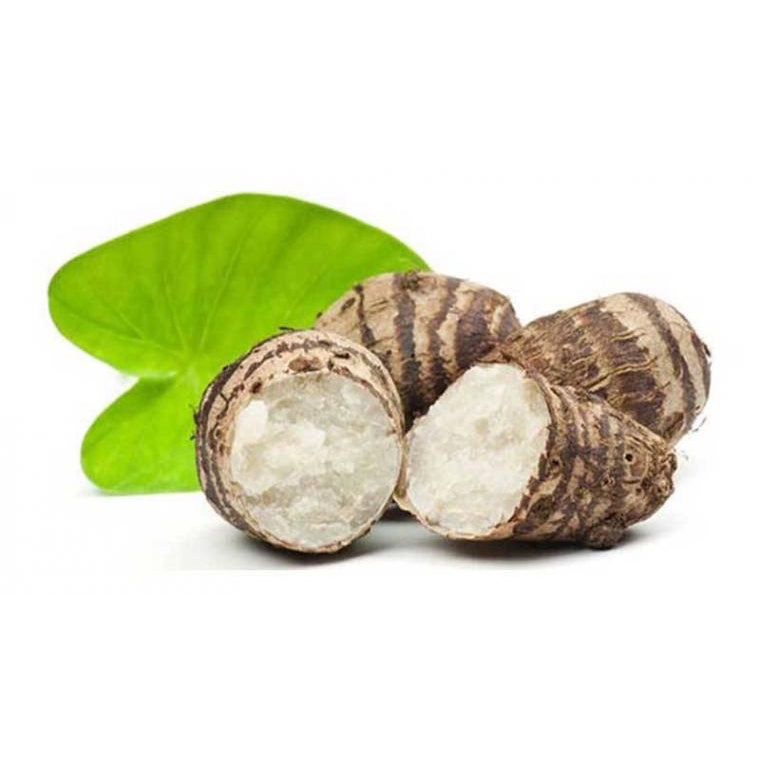 

UMBI TALAS segar konsumsi Colocasia esculenta 500gr