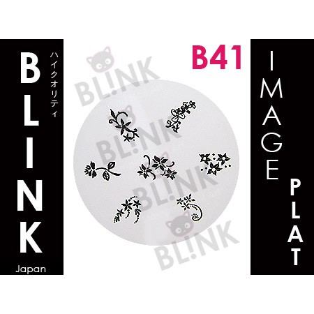 BLINK Image Plate B34- B45